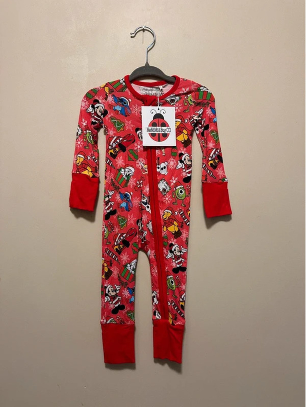 Disney Christmas zippy